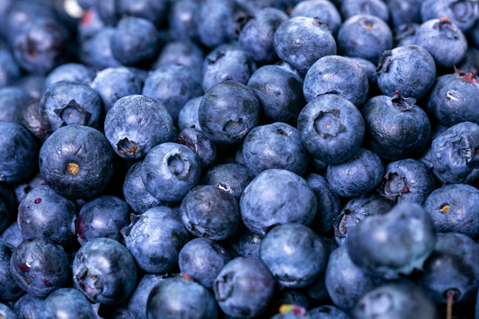 Feed Your Follicles: The Definitive Guide to the Best Foods for Optimum Scalp Health and Hair Growth