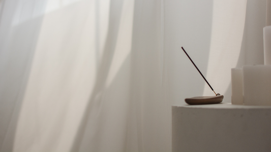 Wellness Trends 2026 and Why Scalp Health Is the Future of Self Care